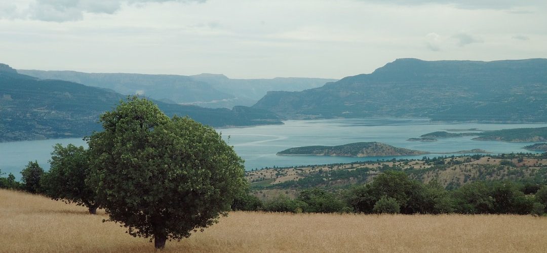 Ermenek 250 TL'lik Web Site Kampanyası