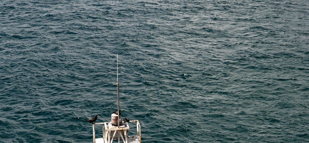 Salipazari 250 TL'lik Web Site Kampanyası