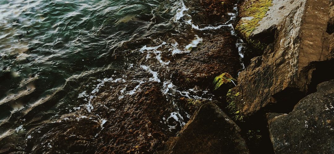 Sinanpaşa Web Tasarım ve Yazılım Hizmeti