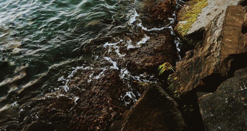 Sinanpaşa Web Tasarım ve Yazılım Hizmeti