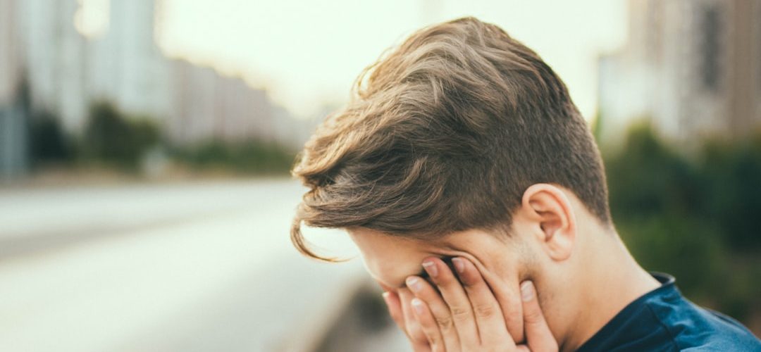 Seyhan Web Tasarım ve Yazılım Hizmeti