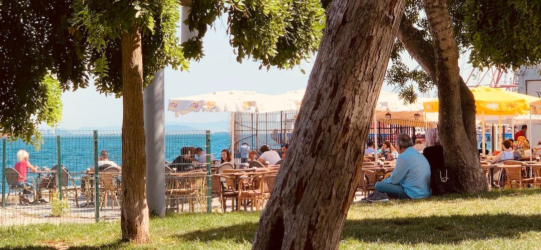 Findikli 250 TL'lik Web Site Kampanyası