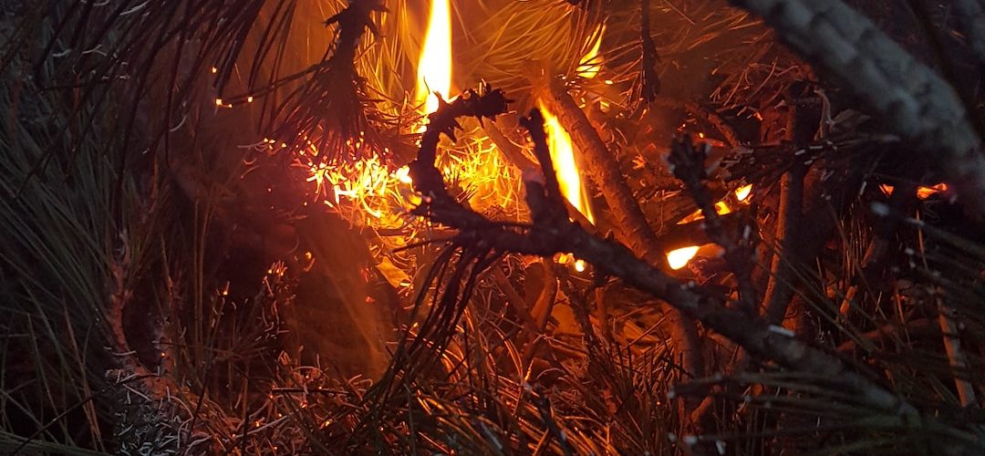 Gaziemir 250 TL'lik Web Site Kampanyası