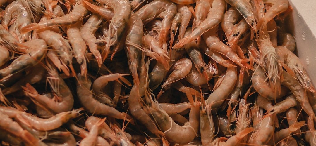 Pazar 250 TL'lik Web Site Kampanyası