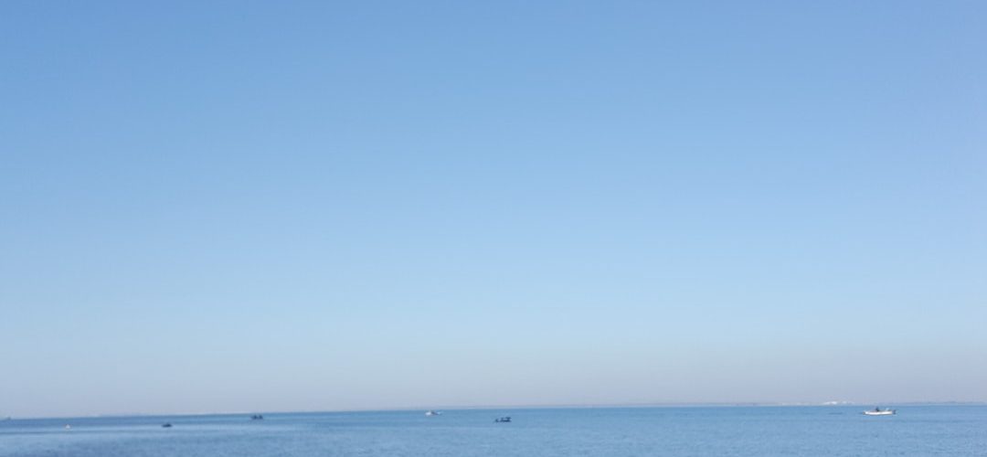 Balçova 250 TL'lik Web Site Kampanyası