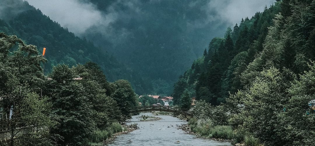 Gaziosmanpaşa 250 TL'lik Web Site Kampanyası