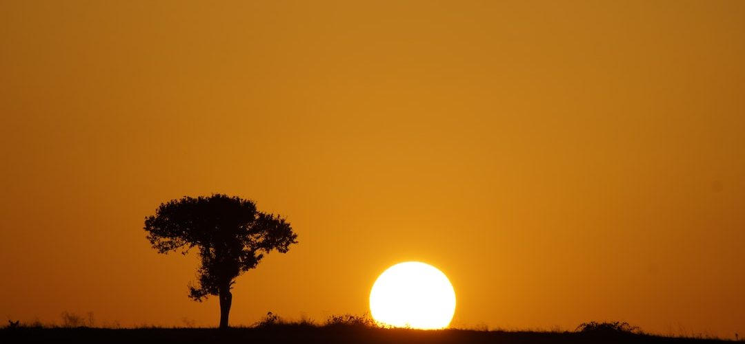 Havza 250 TL'lik Web Site Kampanyası