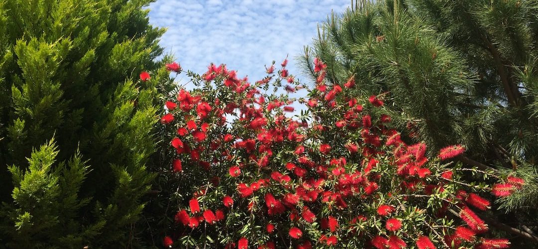 Urla 250 TL'lik Web Site Kampanyası