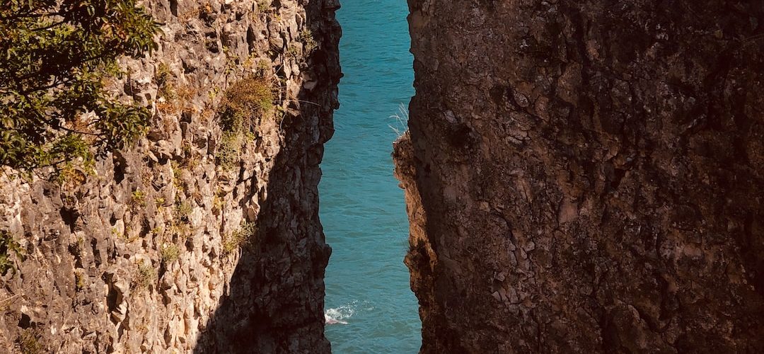 Kilimli Web Tasarım ve Yazılım Hizmeti