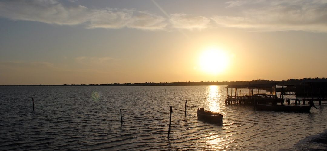 Yumurtalik Web Tasarım ve Yazılım Hizmeti