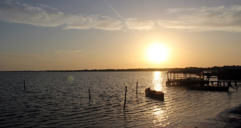 Yumurtalik Web Tasarım ve Yazılım Hizmeti