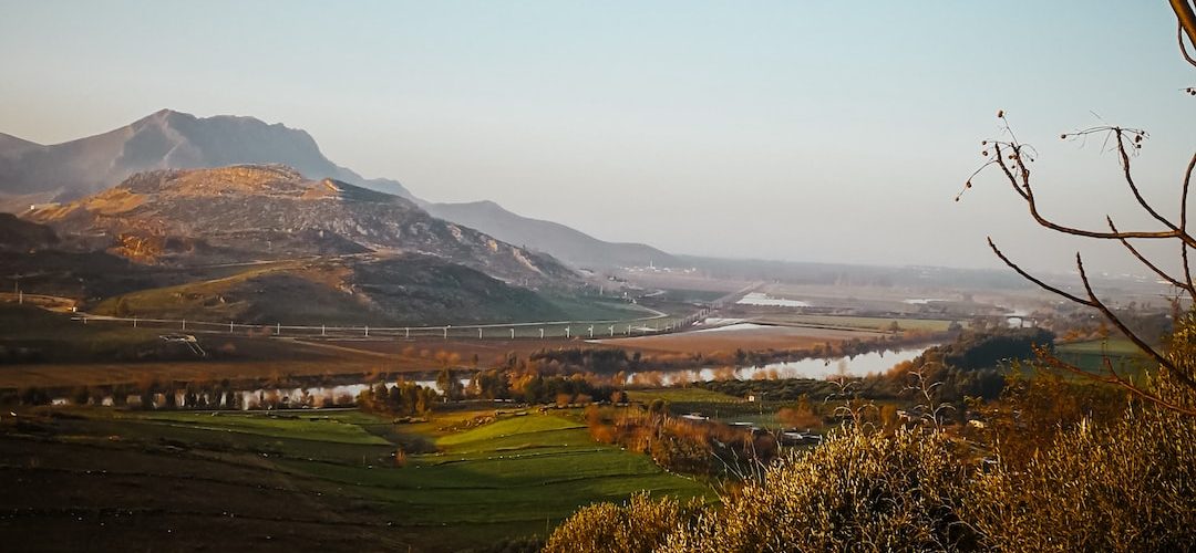 Ceyhan 250 TL'lik Web Site Kampanyası