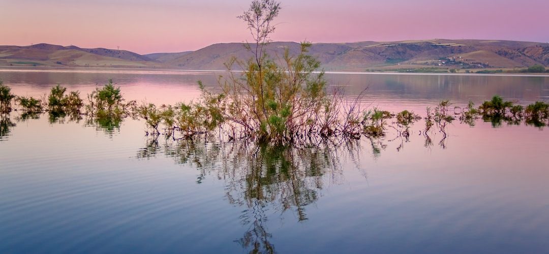 Keskin 250 TL'lik Web Site Kampanyası