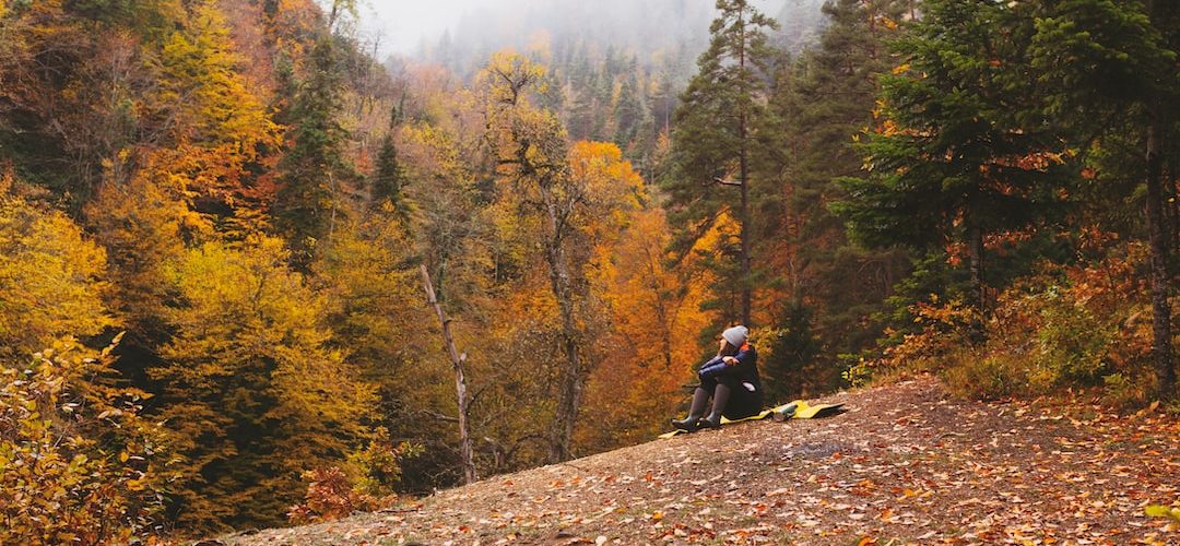 Akyazi 250 TL'lik Web Site Kampanyası