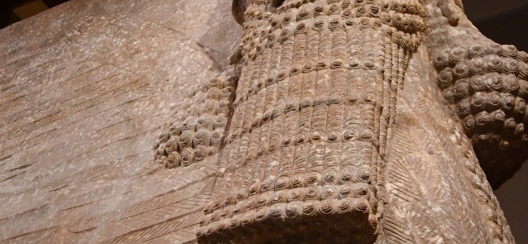 Tut Web Tasarım ve Yazılım Hizmeti