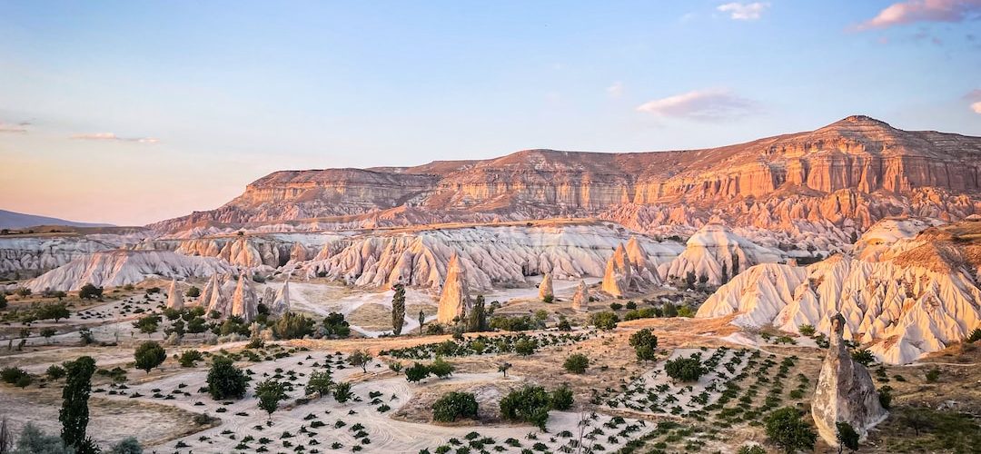 Merkez 250 TL'lik Web Site Kampanyası