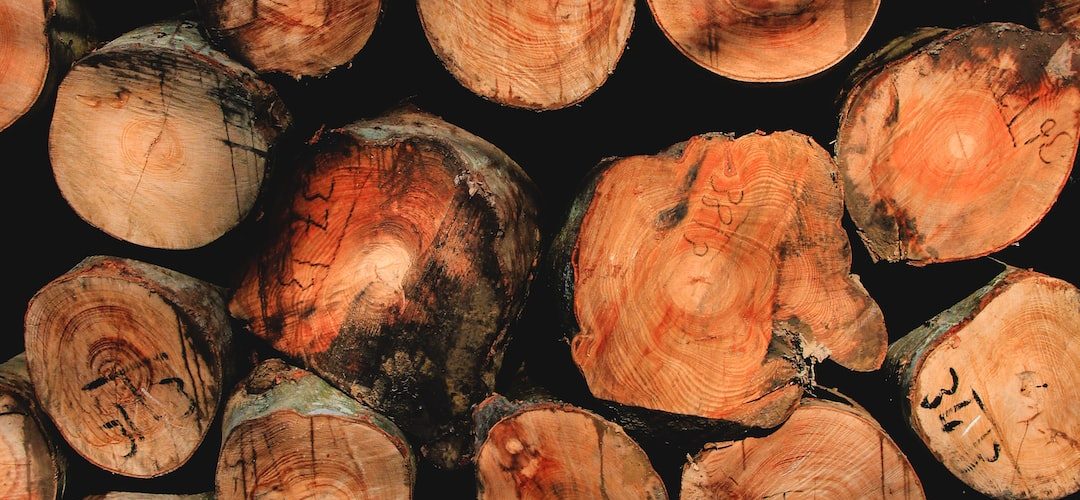 Akdağmadeni 250 TL'lik Web Site Kampanyası