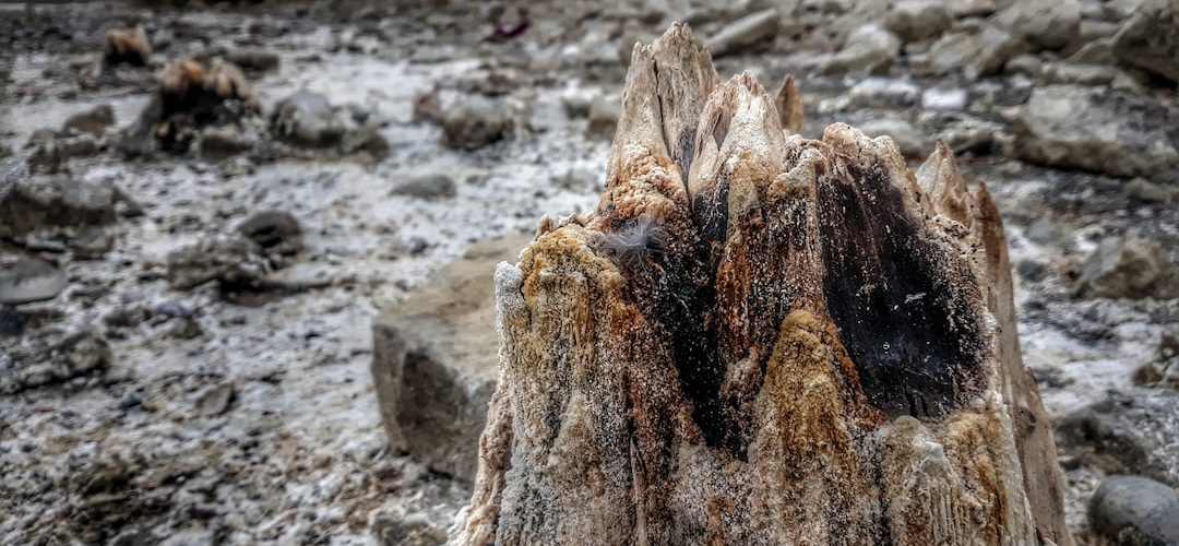 Erciş Web Tasarım ve Yazılım Hizmeti