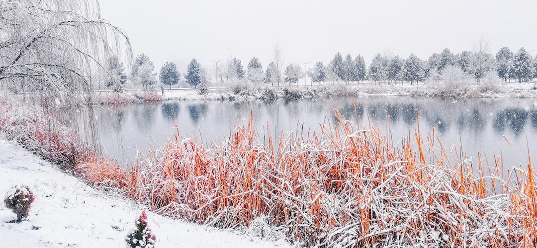 Çelebi 250 TL'lik Web Site Kampanyası