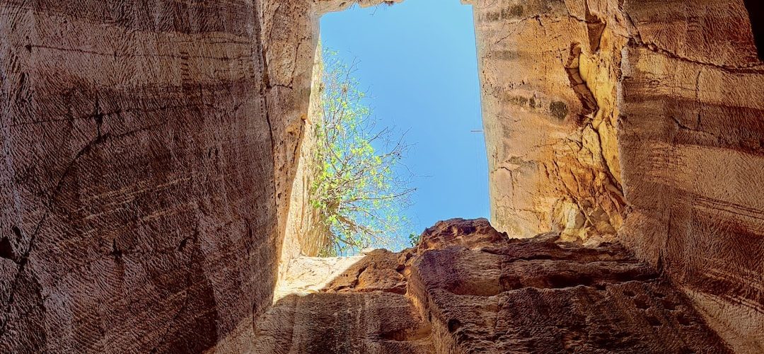 Harran Web Tasarım ve Yazılım Hizmeti
