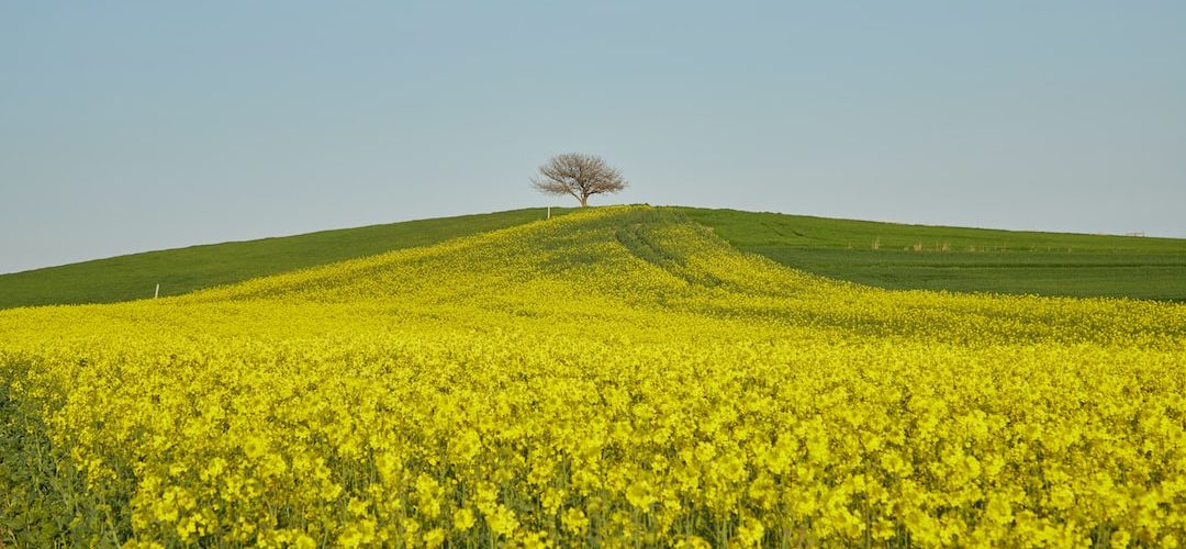 Silivri 250 TL'lik Web Site Kampanyası