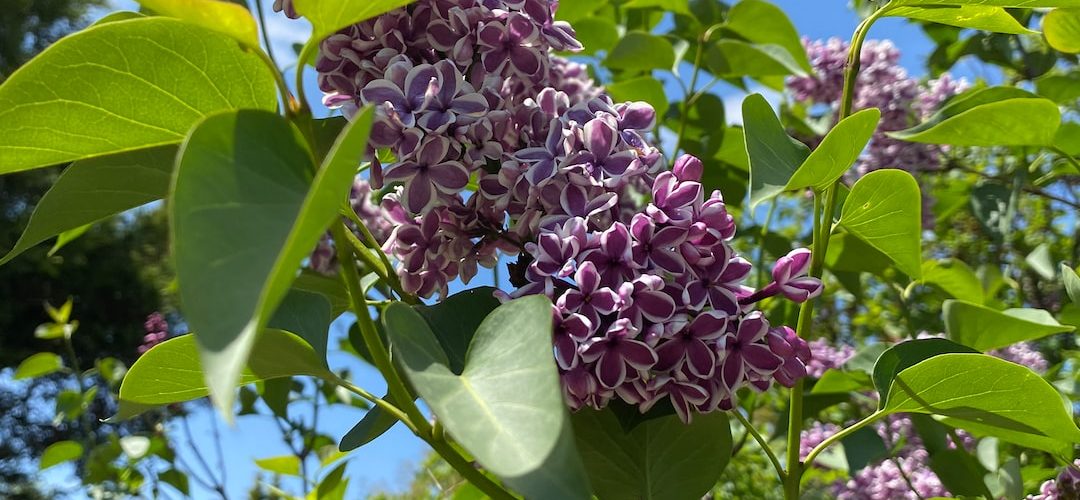 Ümraniye 250 TL'lik Web Site Kampanyası