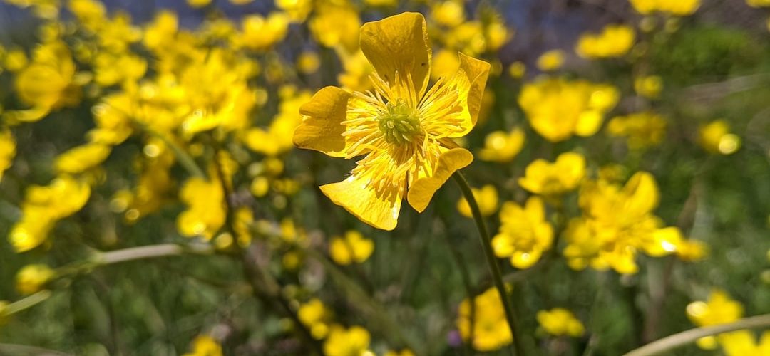 Tarakli 250 TL'lik Web Site Kampanyası