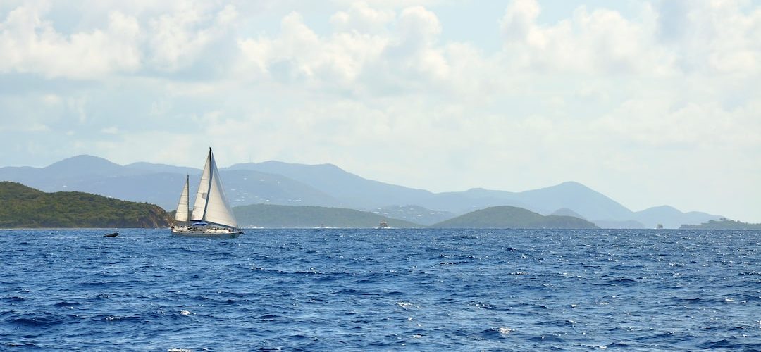 Çay Web Tasarım ve Yazılım Hizmeti