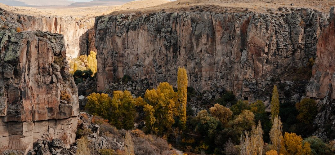 Güzelyurt 250 TL'lik Web Site Kampanyası