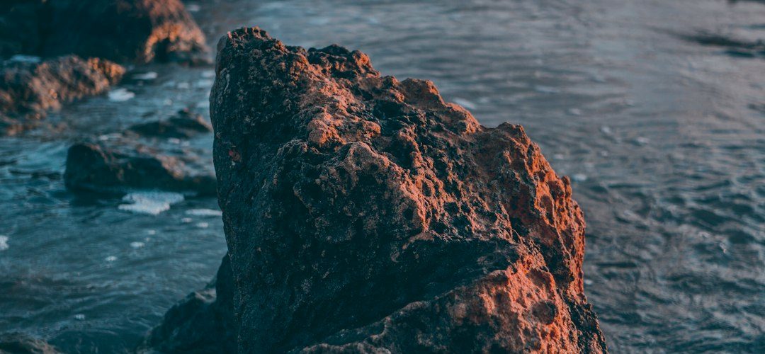 Karataş İşletmeleri için Dijital Başarıya Giden Yol: Profesyonel Web Tasarımı