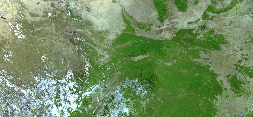 Aksu İşletmeleri için Dijital Başarıya Giden Yol: Profesyonel Web Tasarımı