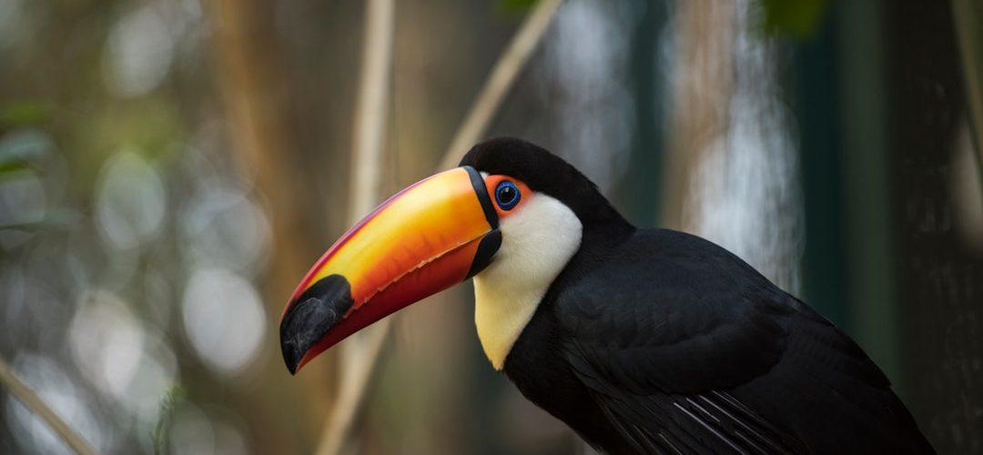 Belen İşletmeleri için Dijital Başarıya Giden Yol: Profesyonel Web Tasarımı