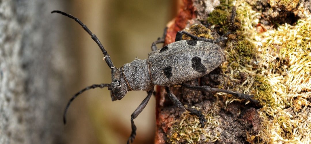 Gönen İşletmeleri için Dijital Başarıya Giden Yol: Profesyonel Web Tasarımı