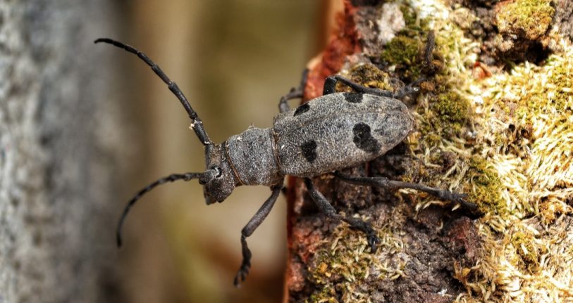 Gönen İşletmeleri için Dijital Başarıya Giden Yol: Profesyonel Web Tasarımı