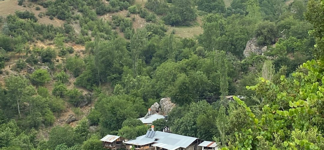 Feke İşletmeleri için Dijital Başarıya Giden Yol: Profesyonel Web Tasarımı