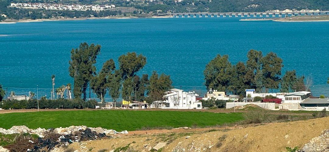 Çukurova İşletmeleri için Dijital Başarıya Giden Yol: Profesyonel Web Tasarımı