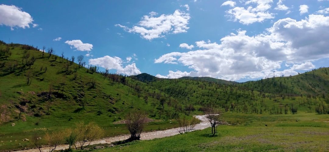 Çukurca İşletmeleri için Dijital Başarıya Giden Yol: Profesyonel Web Tasarımı