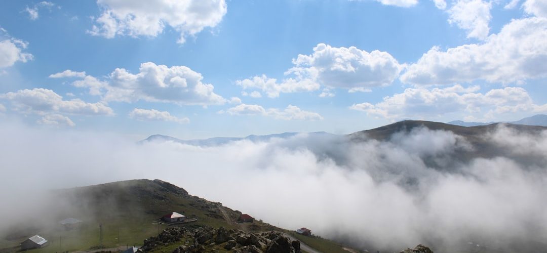 Dereli İşletmeleri için Dijital Başarıya Giden Yol: Profesyonel Web Tasarımı