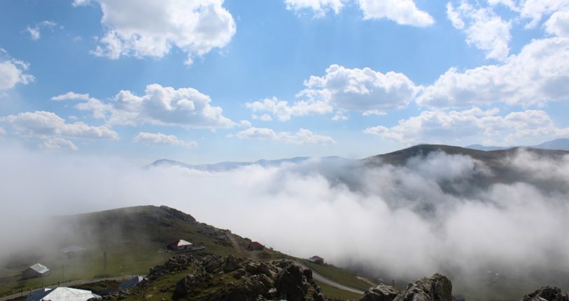 Dereli İşletmeleri için Dijital Başarıya Giden Yol: Profesyonel Web Tasarımı