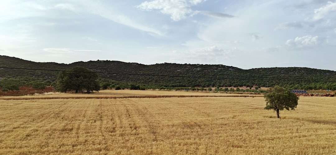 Besni İşletmeleri için Dijital Başarıya Giden Yol: Profesyonel Web Tasarımı