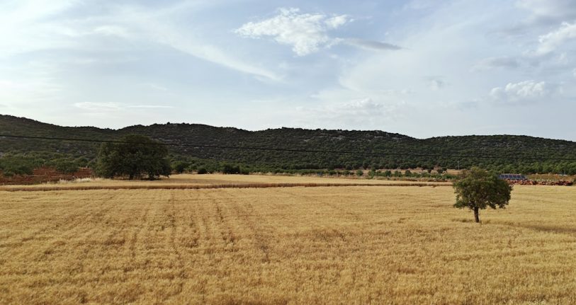 Besni İşletmeleri için Dijital Başarıya Giden Yol: Profesyonel Web Tasarımı