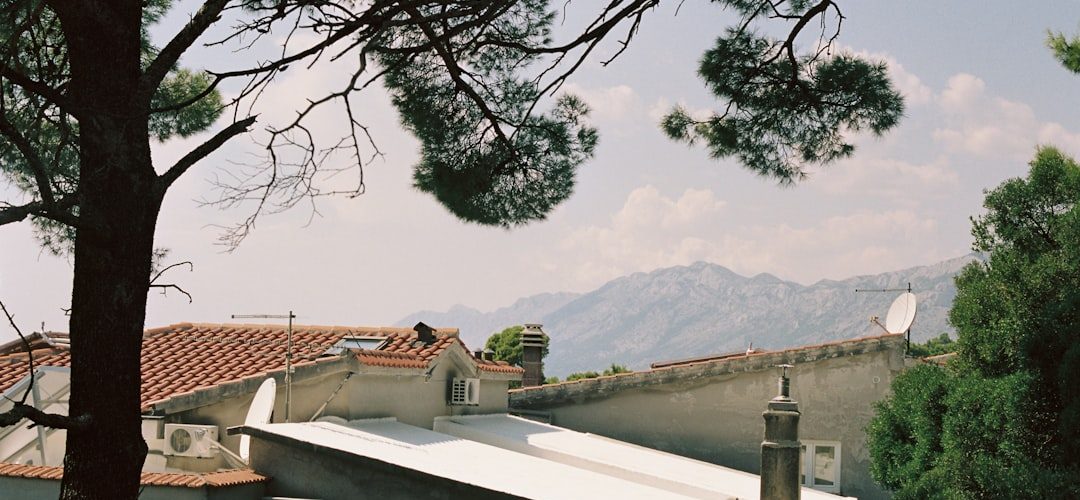 Dinar İşletmeleri için Dijital Başarıya Giden Yol: Profesyonel Web Tasarımı