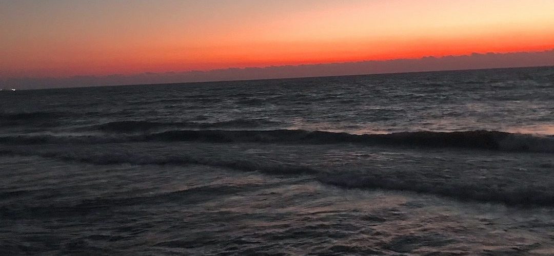 İskenderun İşletmeleri için Dijital Başarıya Giden Yol: Profesyonel Web Tasarımı