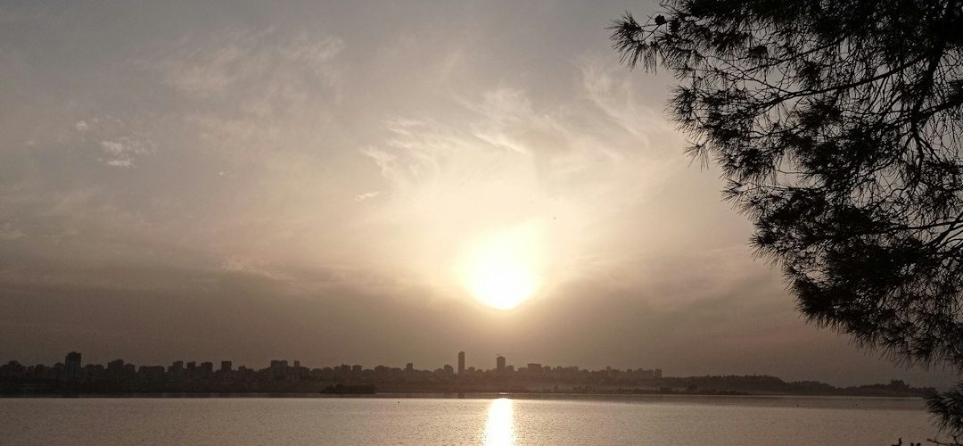 Sariçam İşletmeleri için Dijital Başarıya Giden Yol: Profesyonel Web Tasarımı