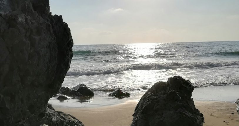 Samandağ İşletmeleri için Dijital Başarıya Giden Yol: Profesyonel Web Tasarımı