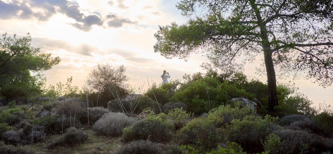 Kozan İşletmeleri için Dijital Başarıya Giden Yol: Profesyonel Web Tasarımı