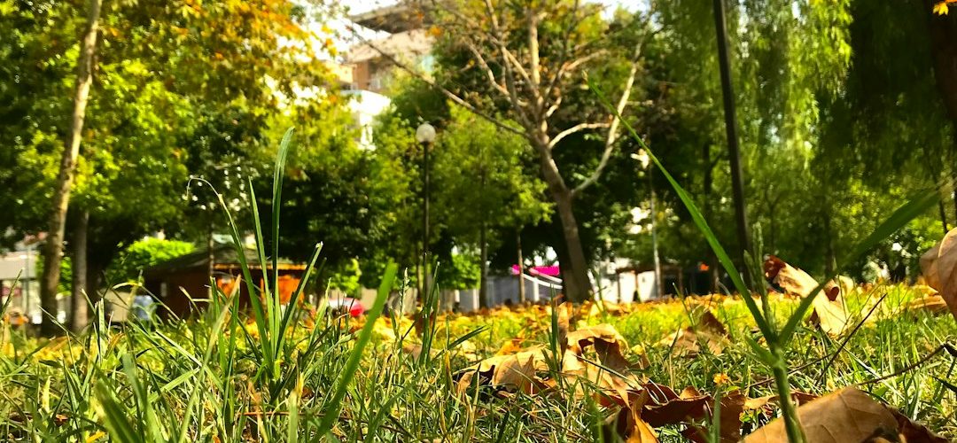 Dörtyol İşletmeleri için Dijital Başarıya Giden Yol: Profesyonel Web Tasarımı