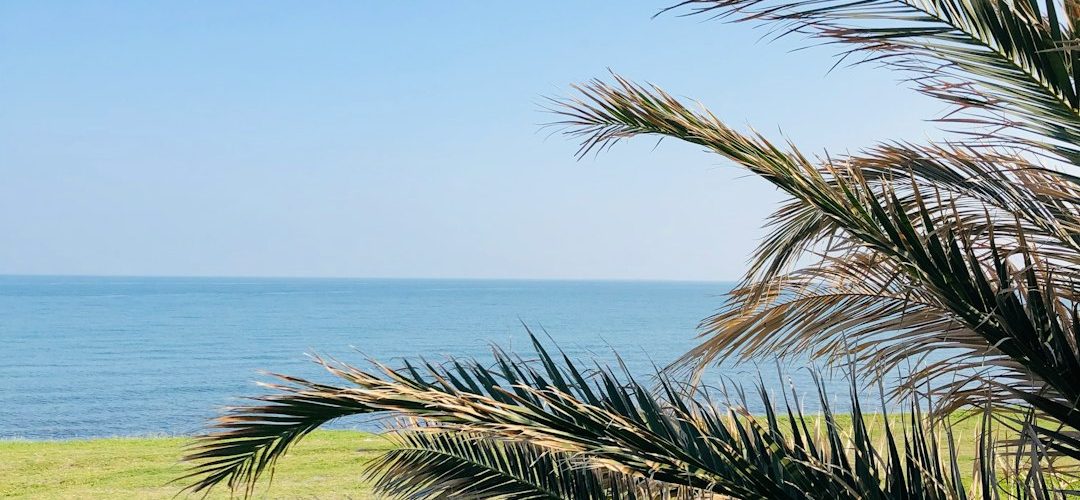 Arsuz İşletmeleri için Dijital Başarıya Giden Yol: Profesyonel Web Tasarımı