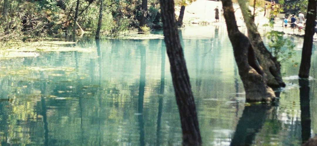 Aladağ İşletmeleri için Dijital Başarıya Giden Yol: Profesyonel Web Tasarımı